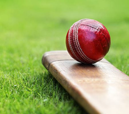 Cricket ball resting on a cricket bat on green grass of cricket pitch